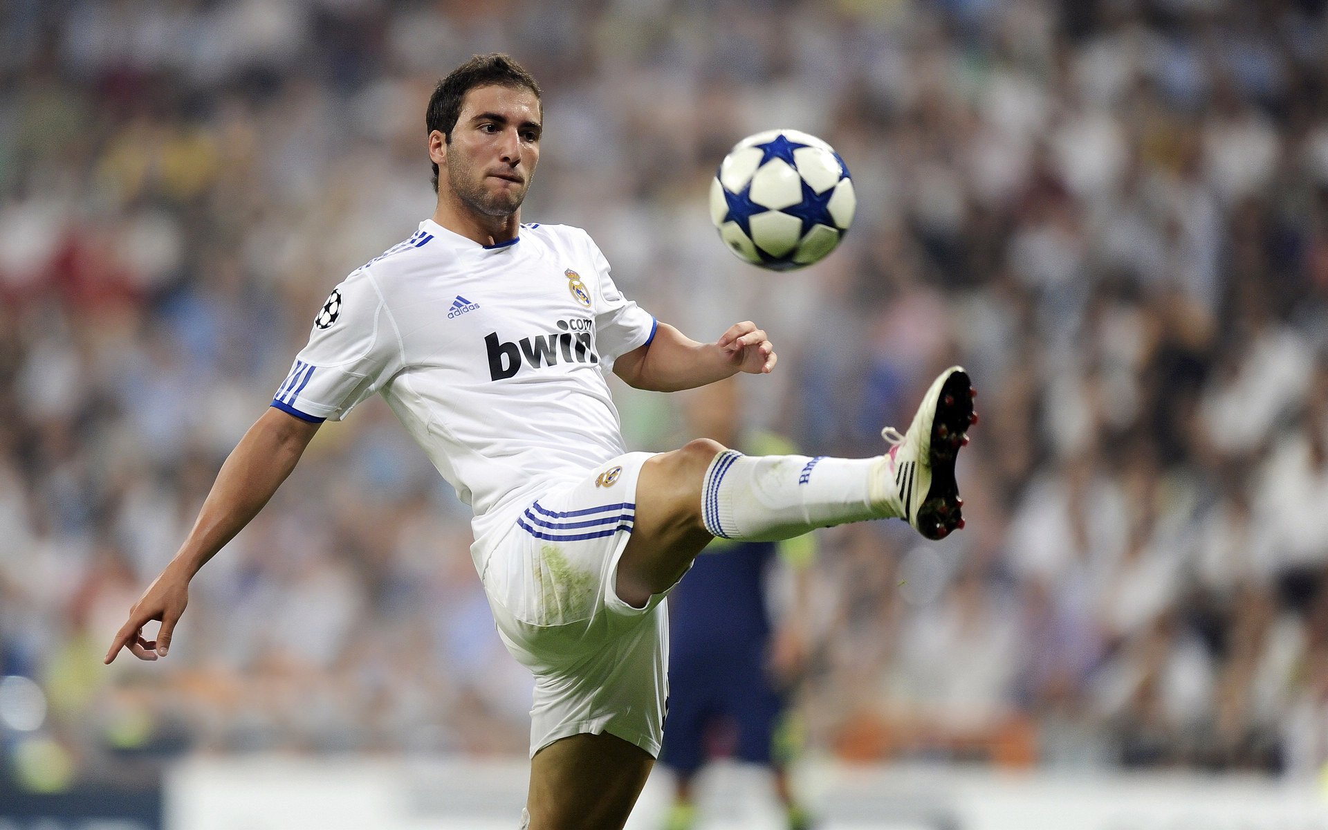 巴基斯坦主帅称团队信念重建成功，巴基斯坦 领袖